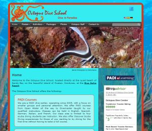 Octopus Dive School Website by a&b WebDesign