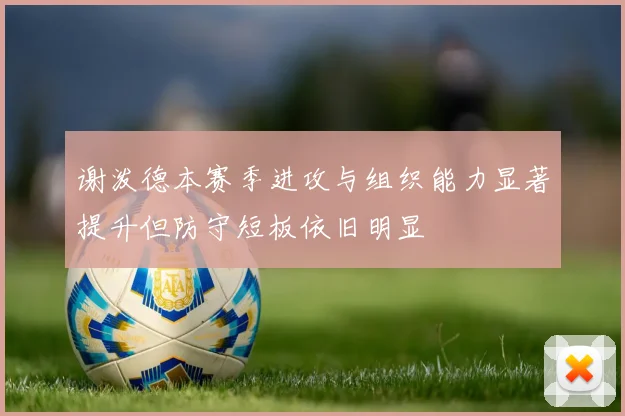 谢泼德本赛季进攻与组织能力显著提升但防守短板依旧明显